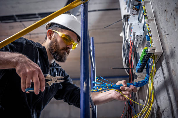 Best Electrical System Inspection  in Carrier Mls, IL